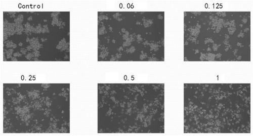 A method for improving mechanical performance of polyvinyl alcohol hydrogel