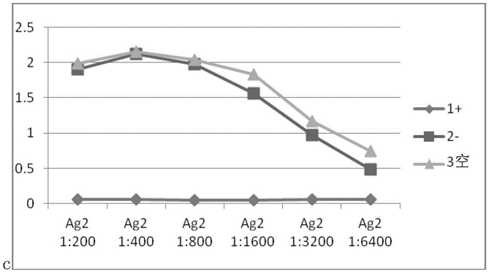 Monoclonal antibody and kit specifically binding to serum type 7 antigen of Actinobacillus pleuropneumoniae