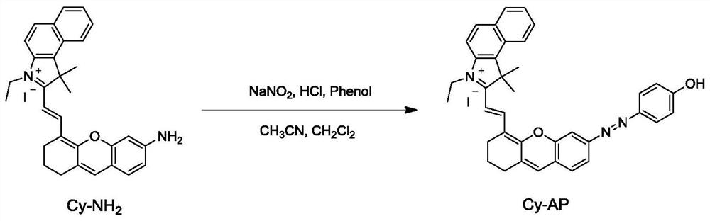 Preparation and application of a hypoxic fluorescent probe based on hemicyanine dye