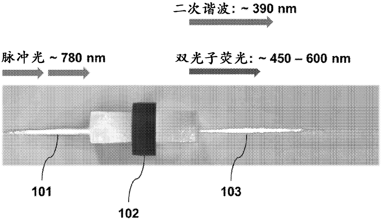 Non-invasive detection of skin disease