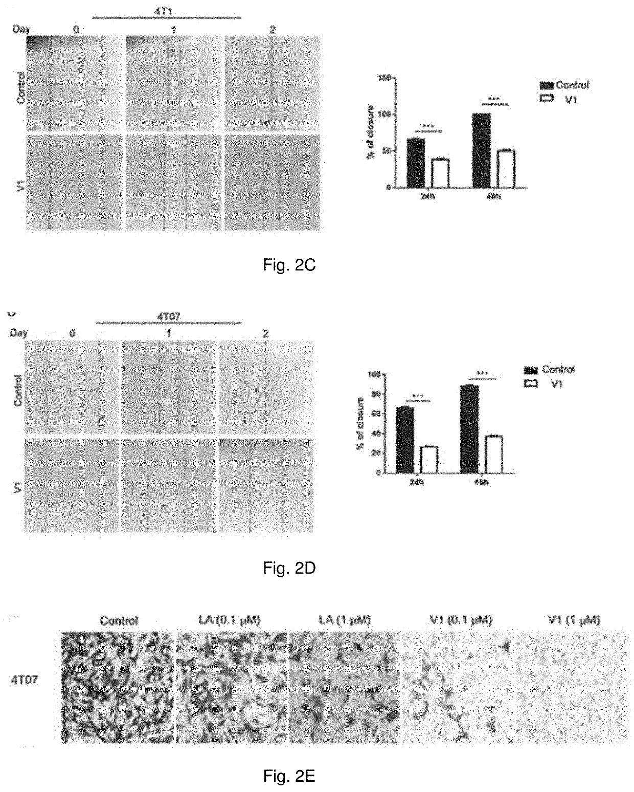 Method of treating metastatic cancer in a subject with a protein inhibitor