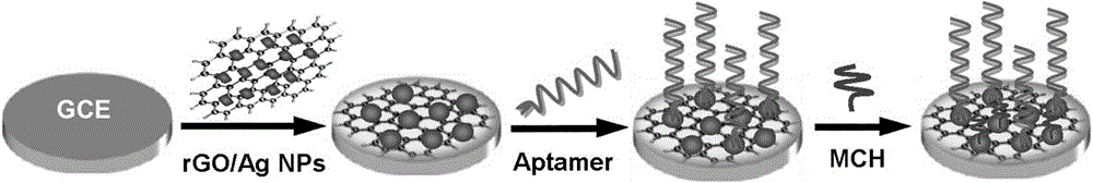 Electrochemical aptamer sensor for rapid detection of chloramphenicol