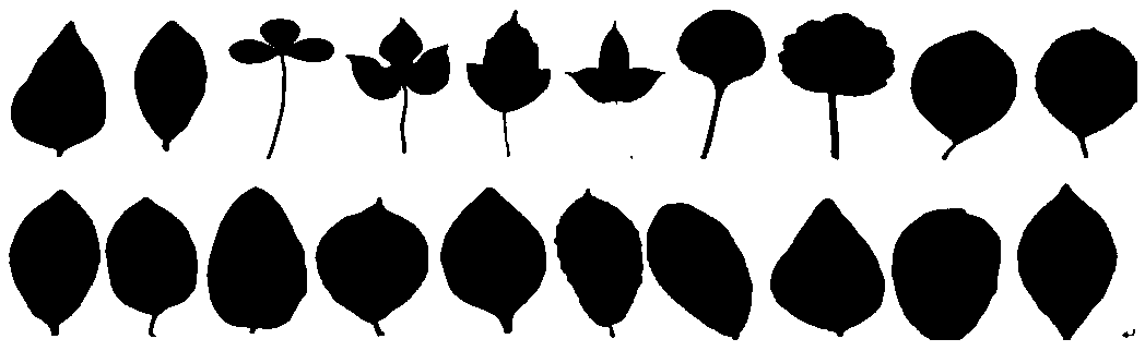 Plant classification method based on sparse expression dictionary learning