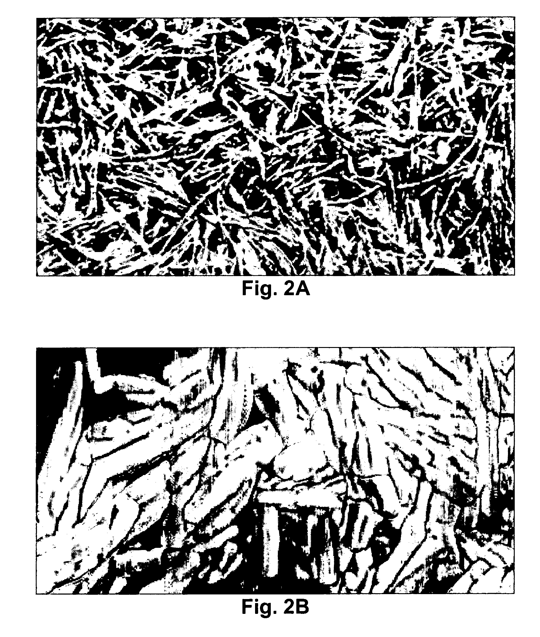 Polymeric/ceramic composite materials for use in medical devices