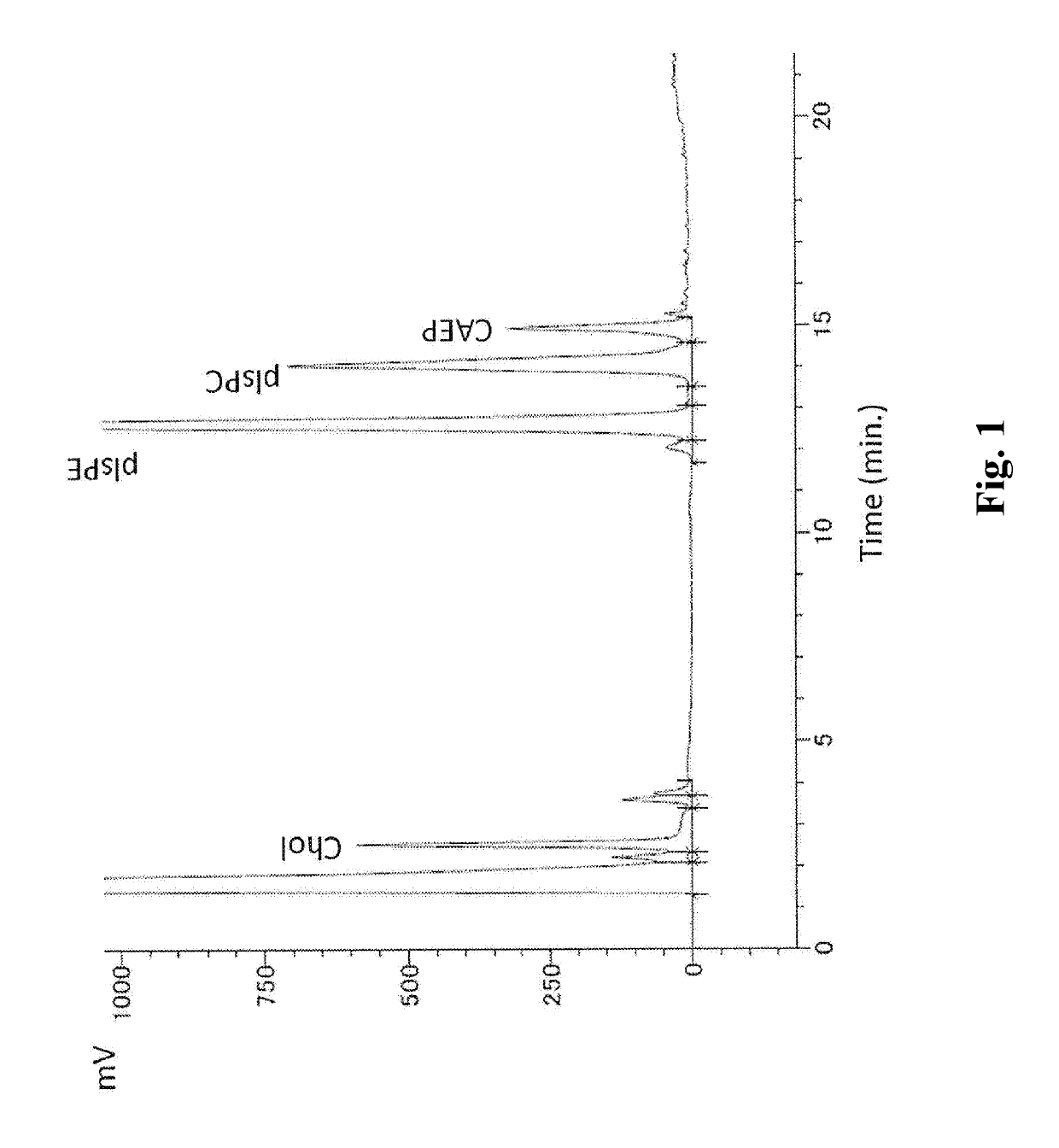 Ether type glycerophospholipid-containing composition and method for producing the same