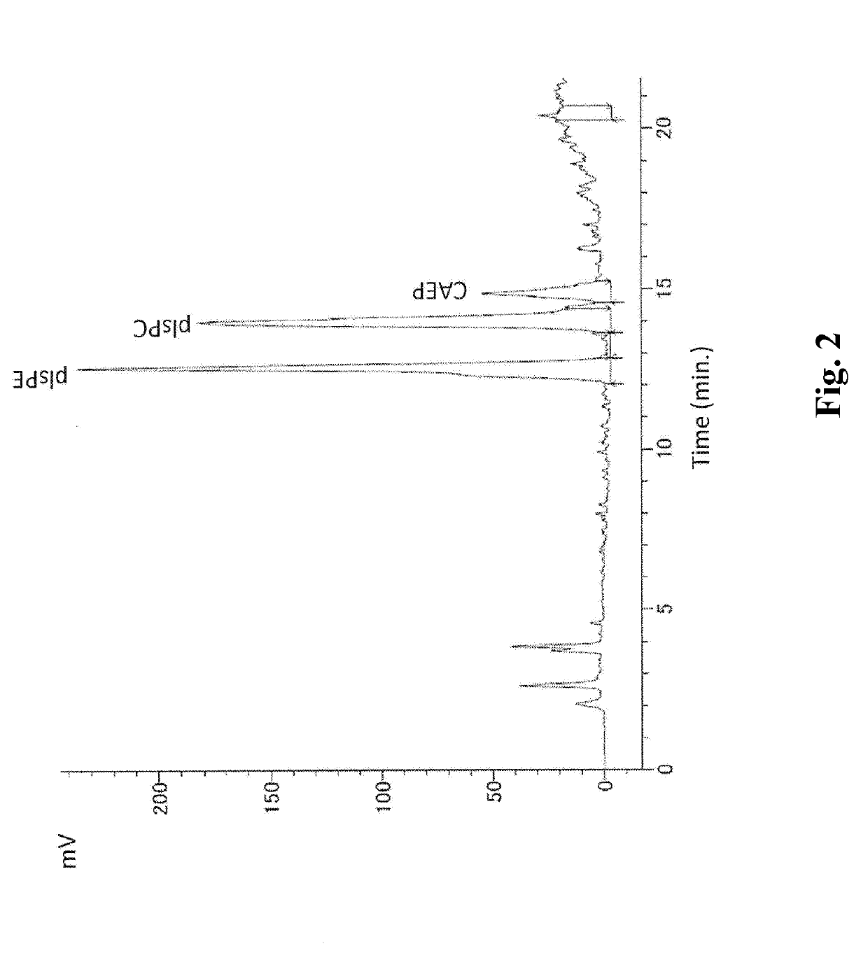 Ether type glycerophospholipid-containing composition and method for producing the same