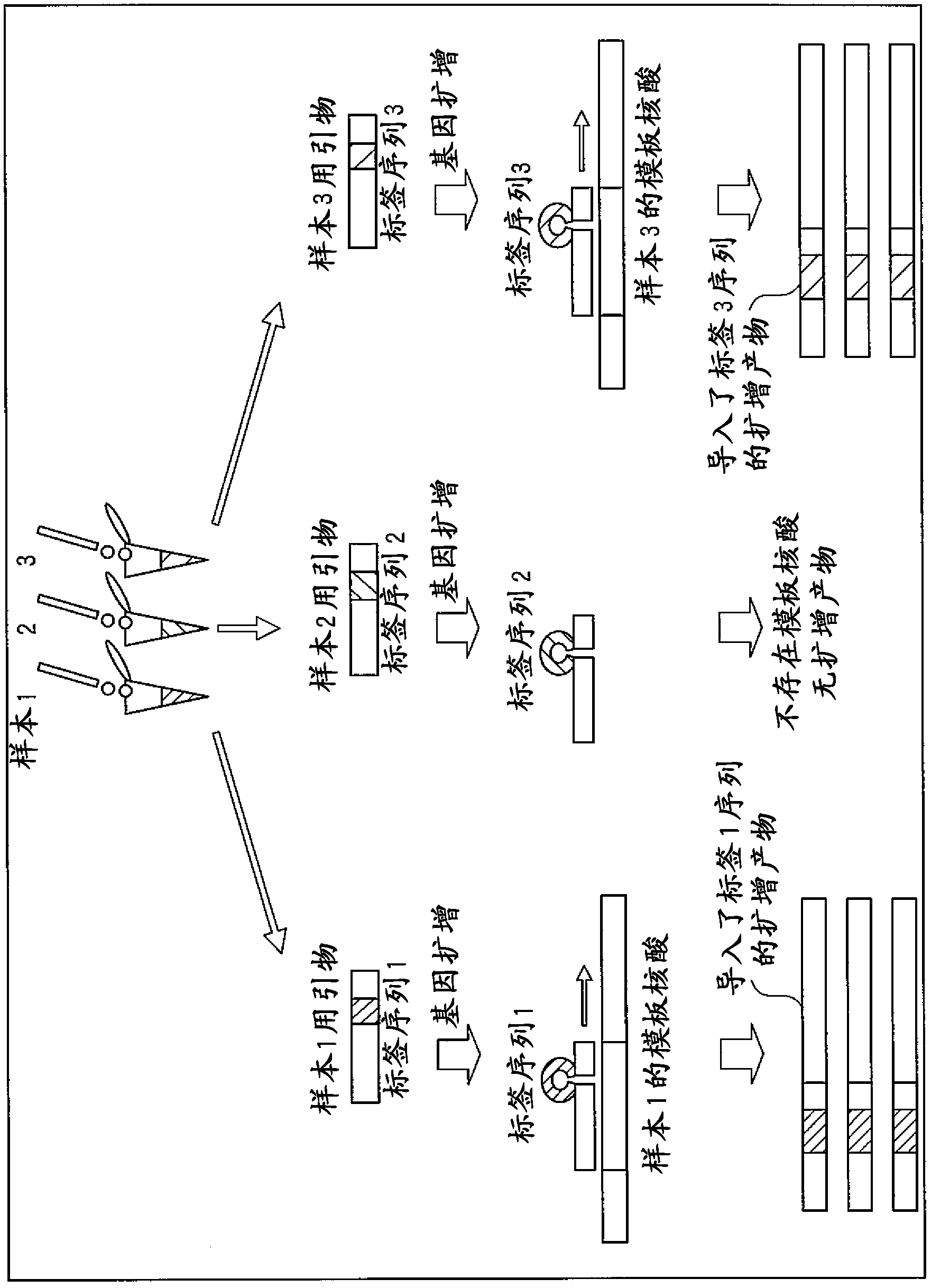 Sample analysis method and assay kit for use in the method