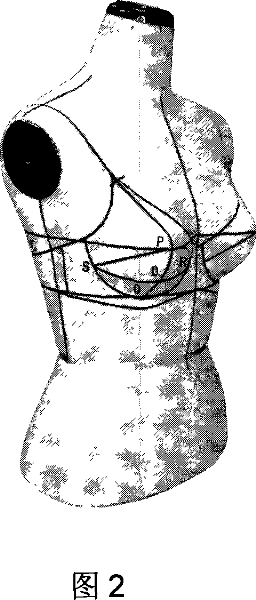 Method of designing structure of the mass customized bra based on the technique of surface modeling