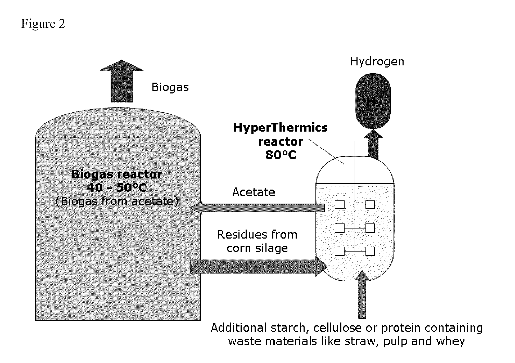 Energy production with hyperthermophilic organisms