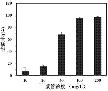 Method for efficiently removing algae from water bodies utilizing carbon nanotubes