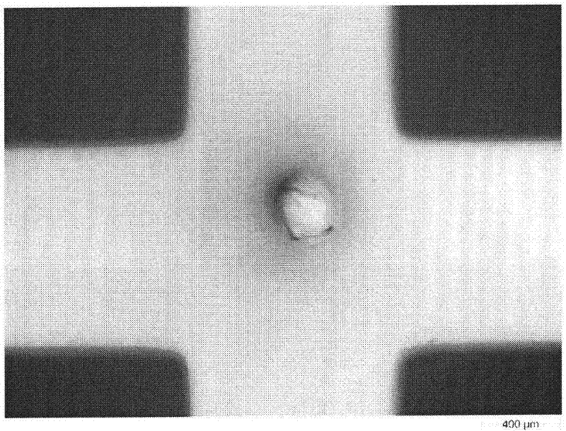 Method for preparing injectable microgelparticles