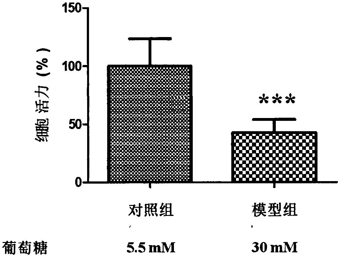 Method for building diabetes model through inducing human liver cancer cells HepG2 by glucose and application