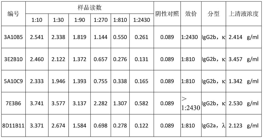 A pair of monoclonal antibodies capable of specifically recognizing hcv NS3 protein and its application