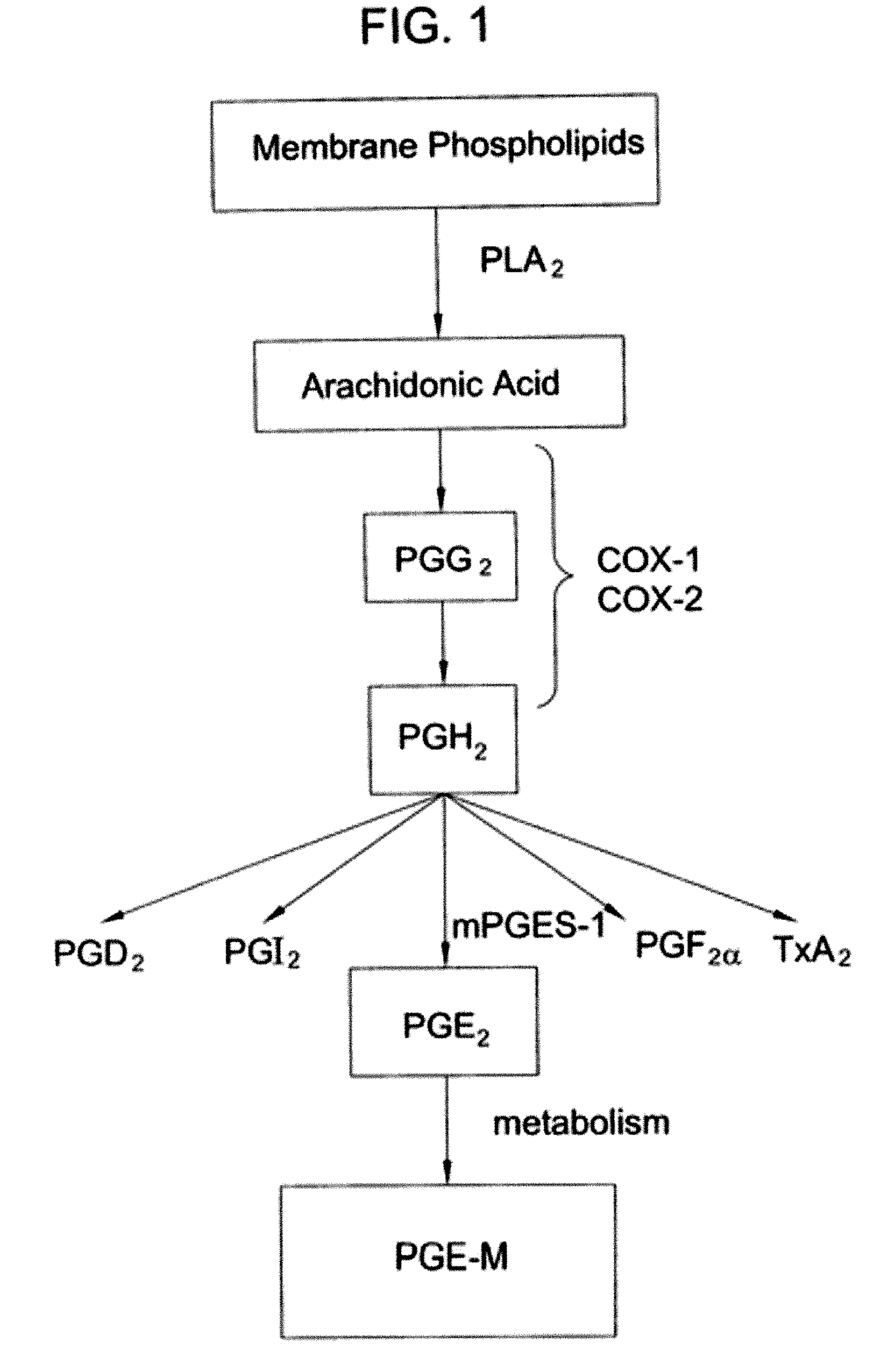 PGE-M as a biomarker of pulmonary inflammation