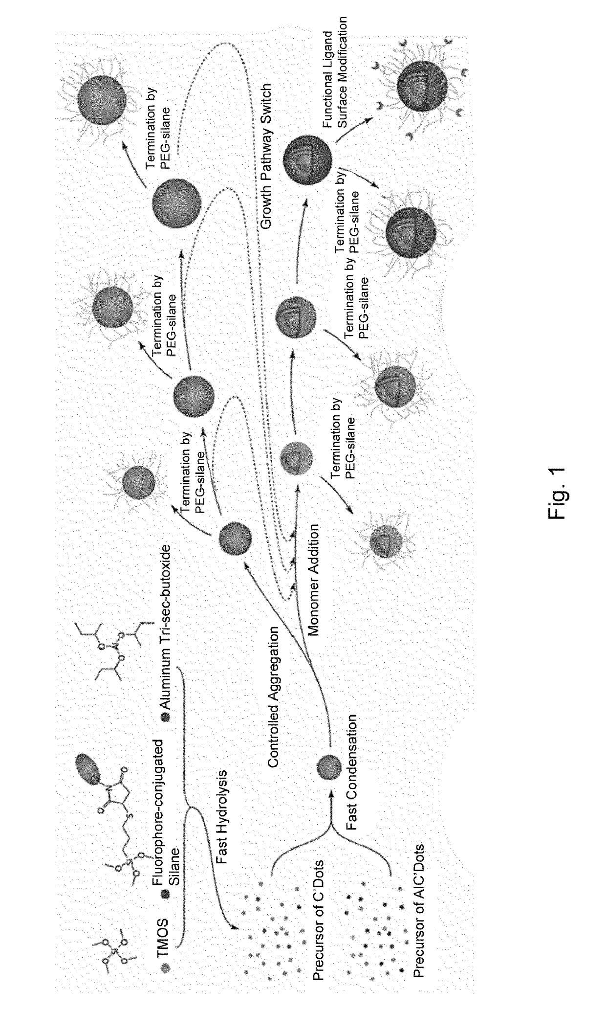 Ultrasmall nanoparticles and methods of making and using same