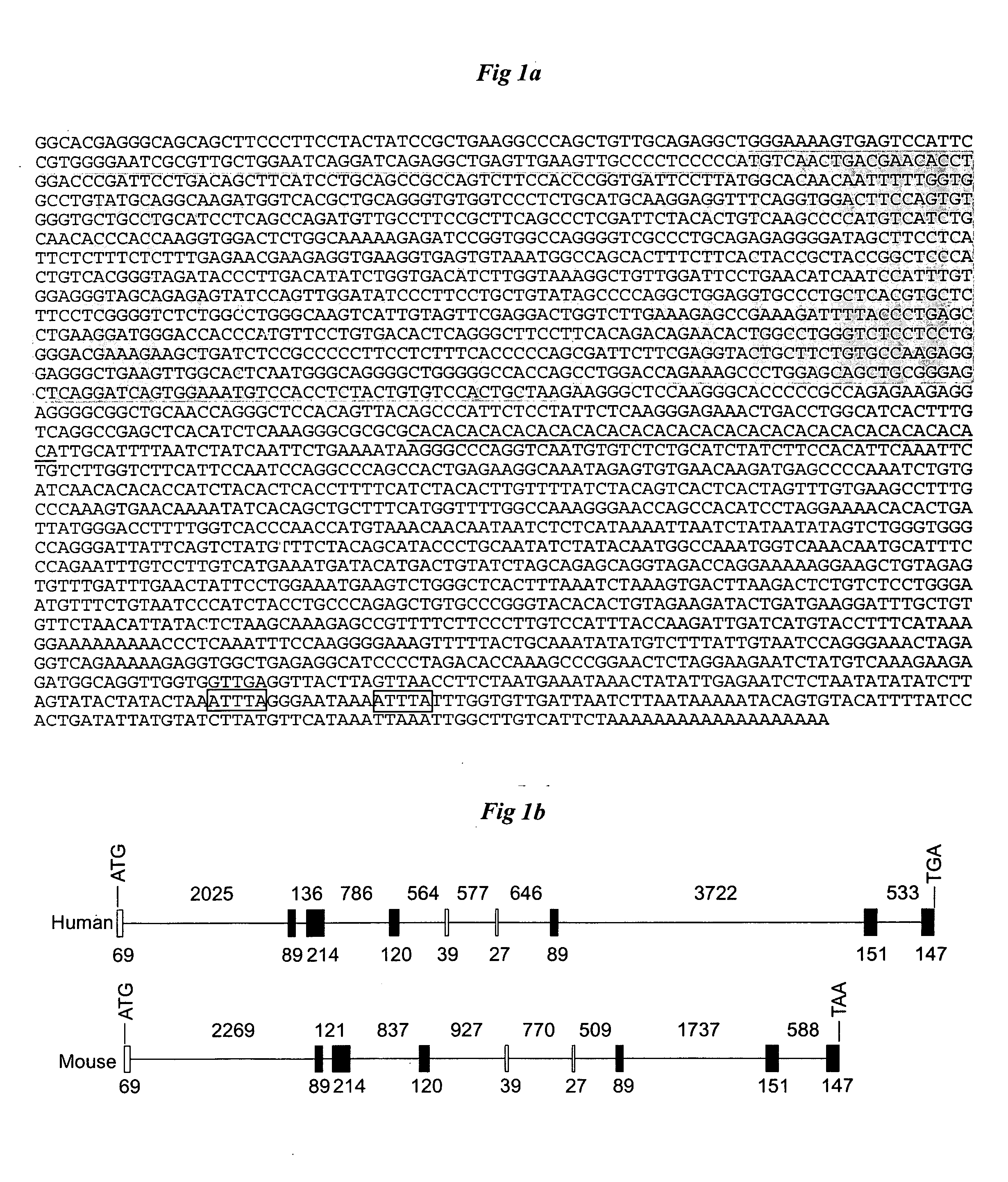 Reducing galectin-12 activity to reduce formation of adipocytes