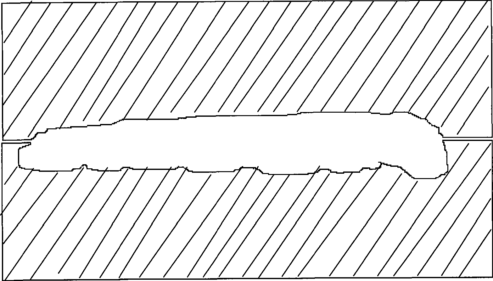 Method for cultivating Cordyceps sinensis fungus