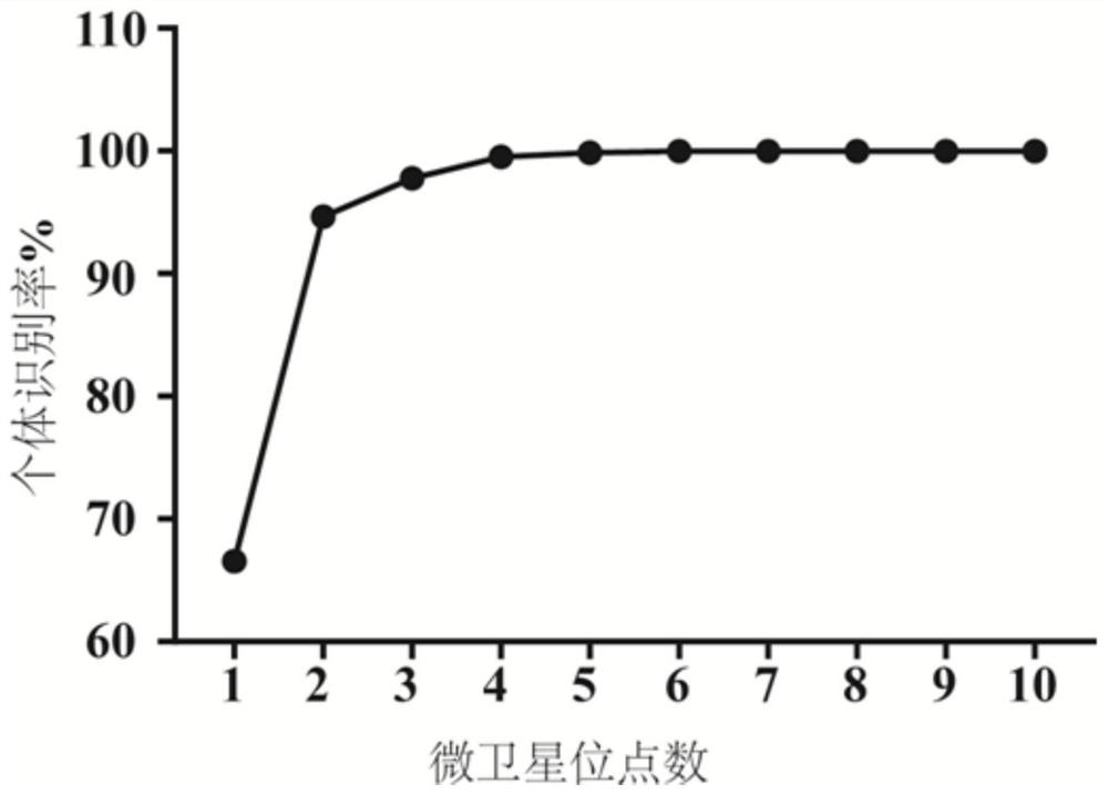 SSR fluorescence labeling primers for paternity test and population genetic analysis of Liangshantriton taliangensis