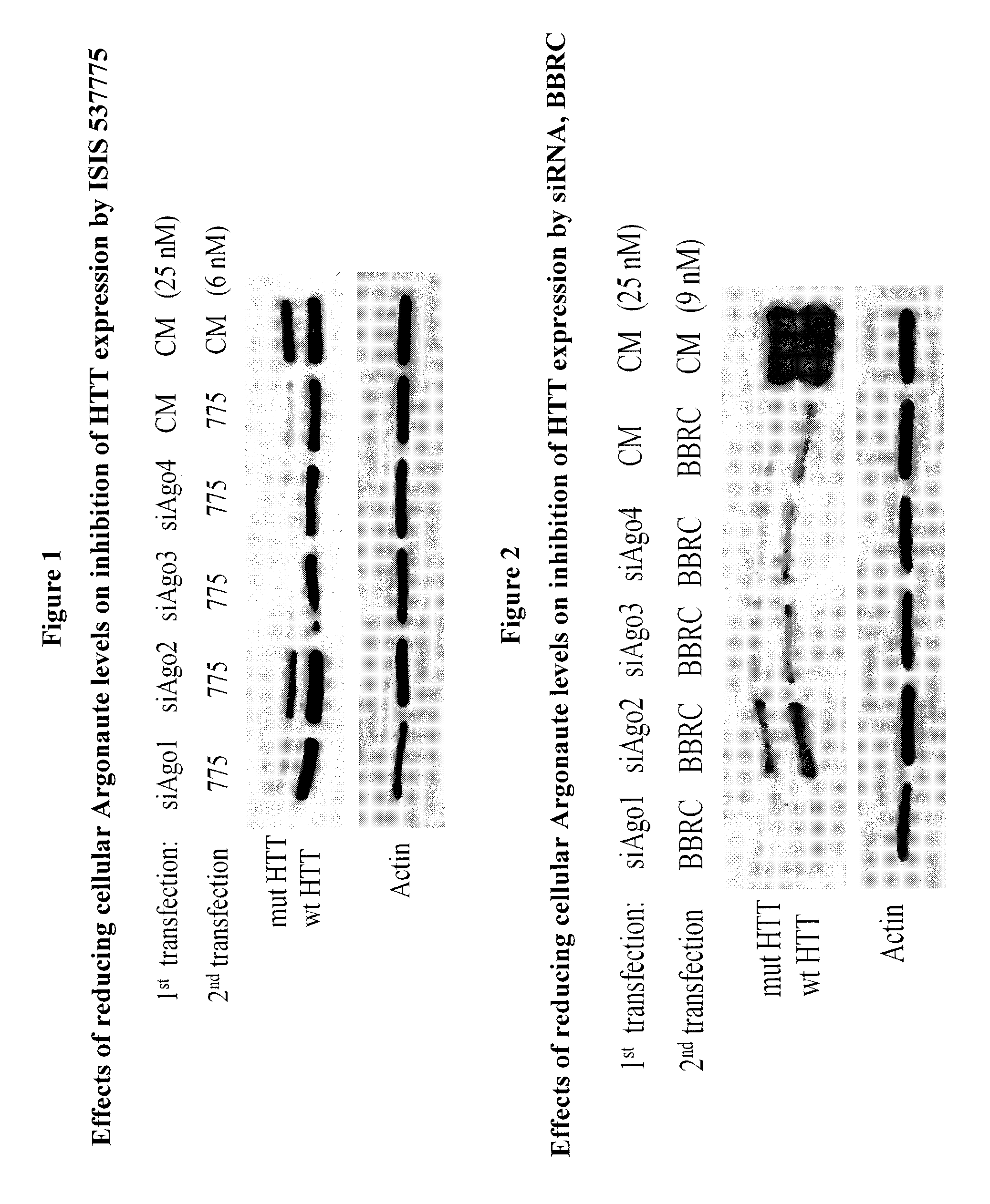 Methods and compounds useful in conditions related to repeat expansion