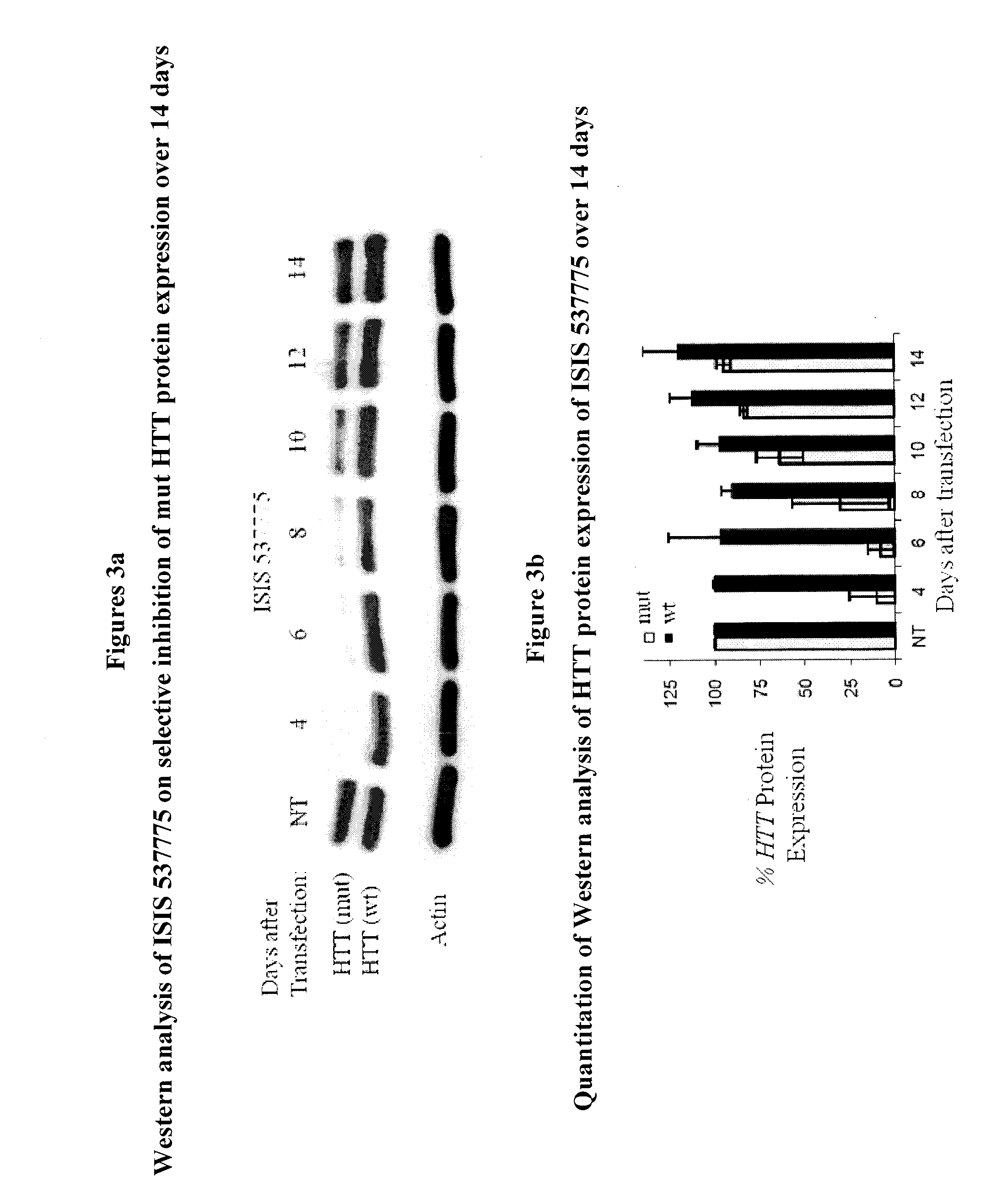 Methods and compounds useful in conditions related to repeat expansion