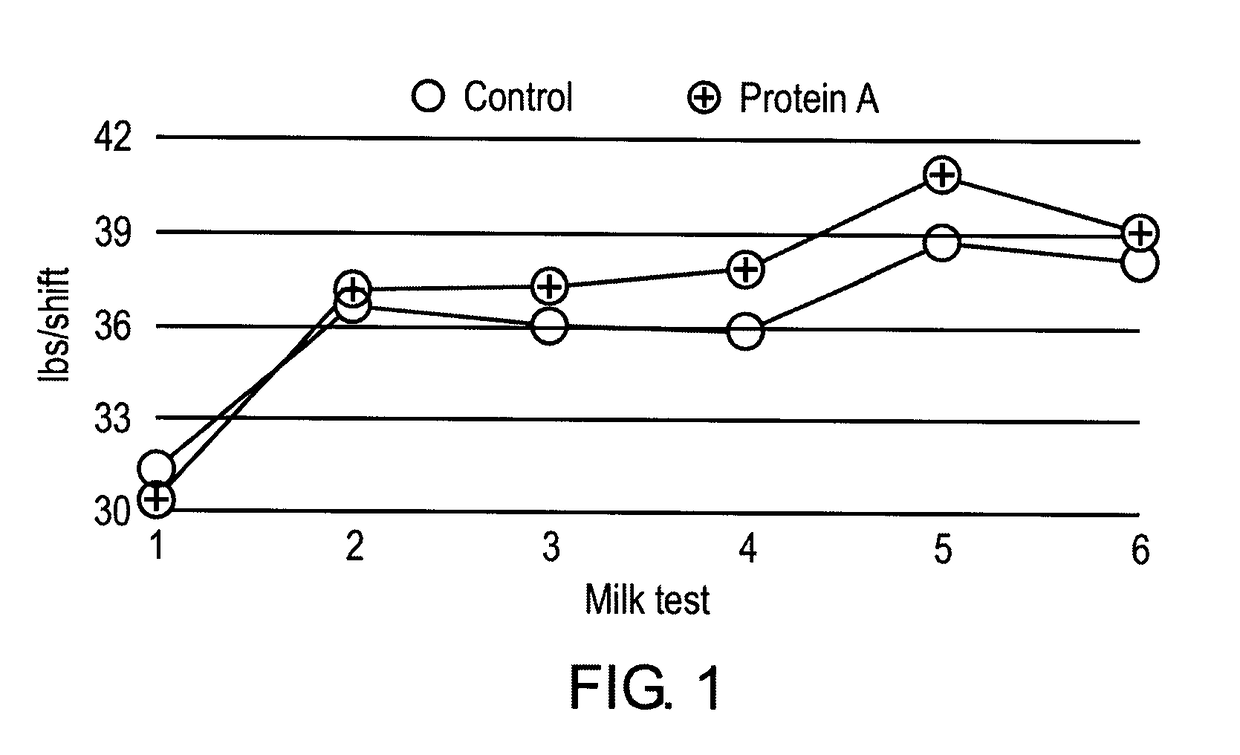 Method for increasing milk production by ruminants