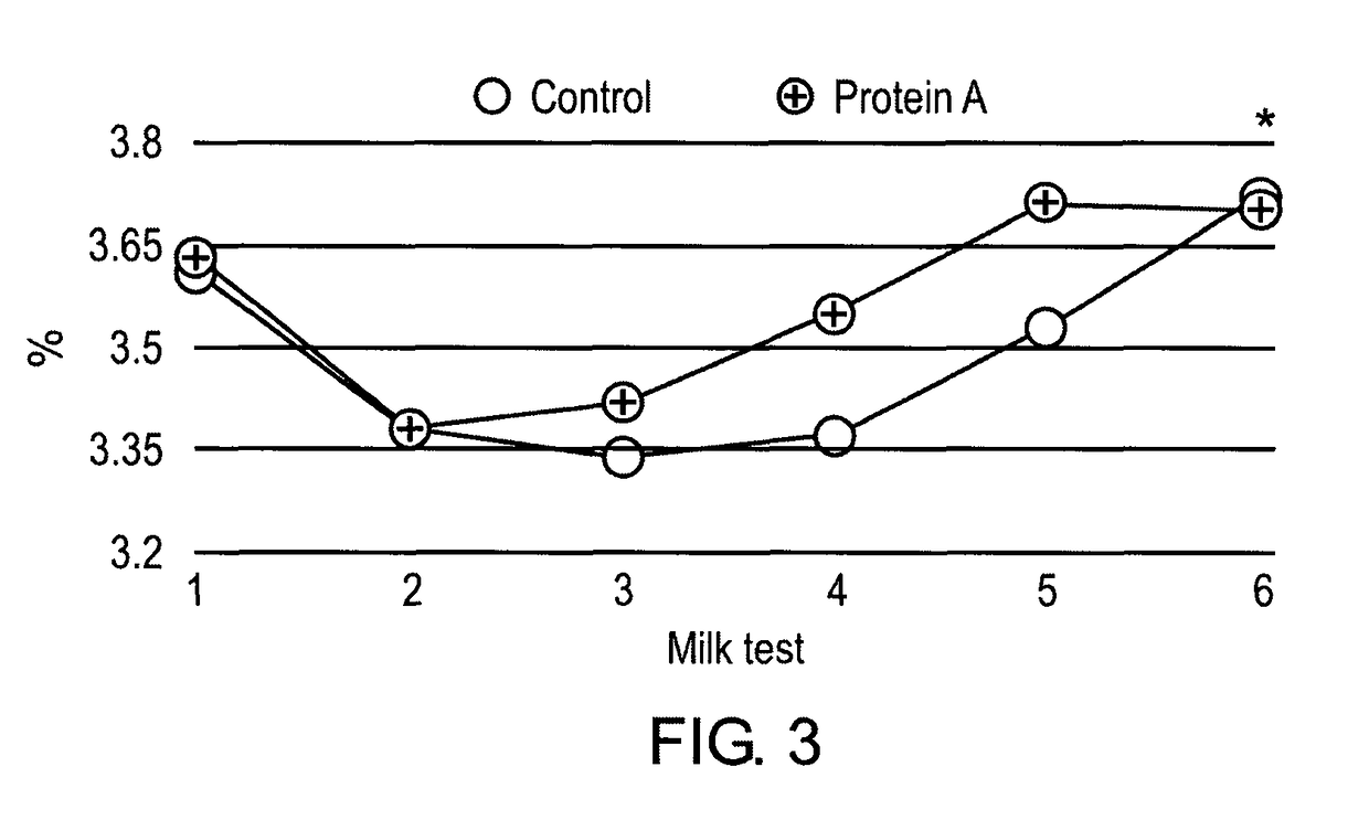 Method for increasing milk production by ruminants