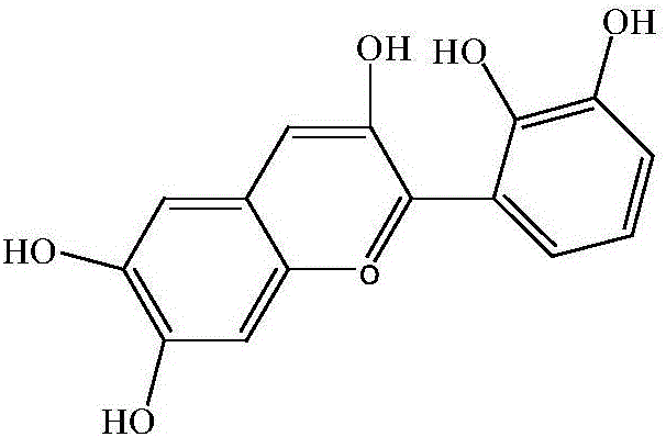 Application of anthocyanin in preparation of medicine for treating malaria