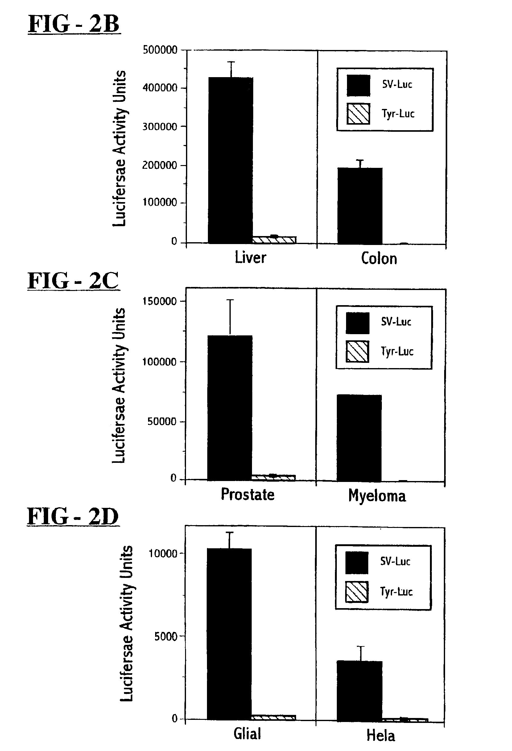 Recombinant bacterial cells for delivery of PNP to tumor cells