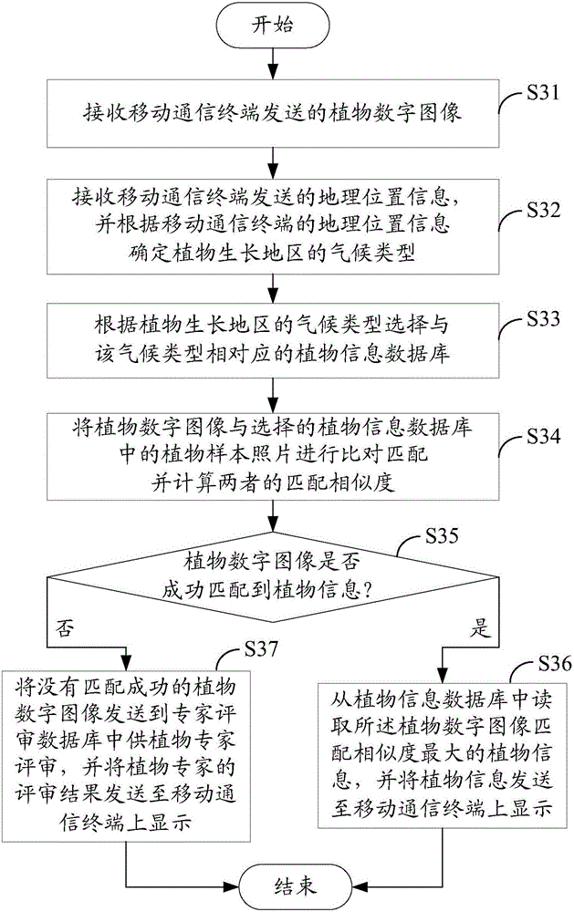 Plant recognition system and method based on geographical location