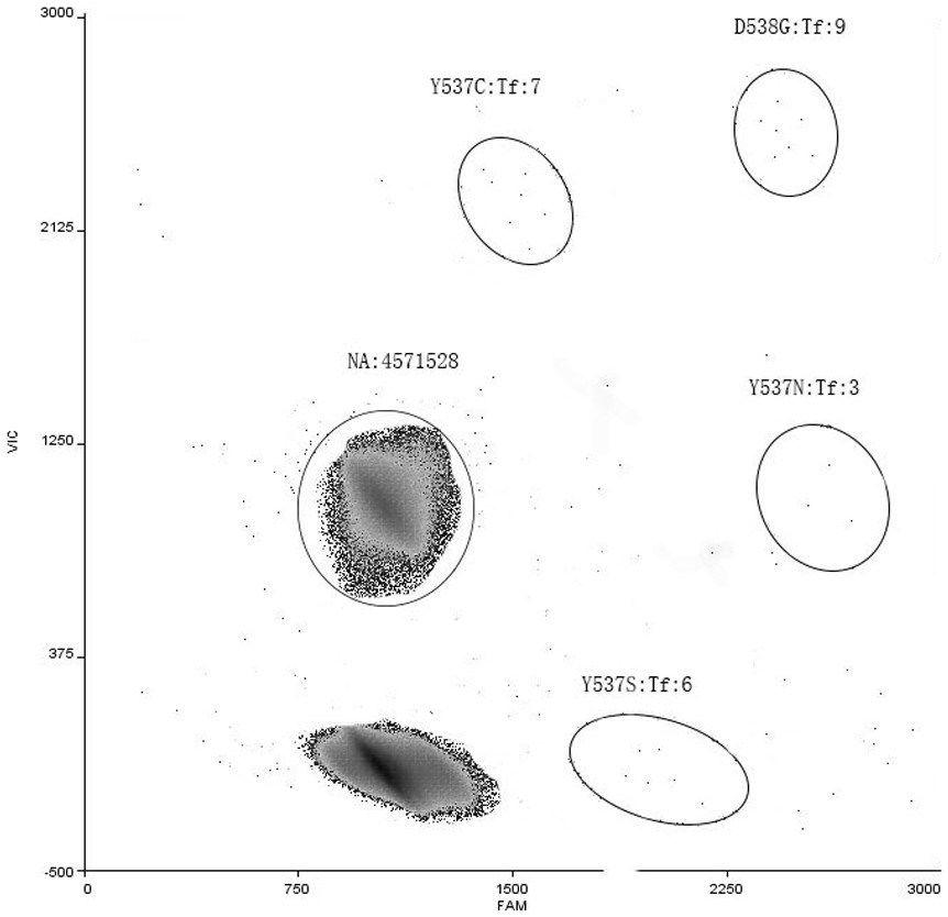 ESR1 gene mutation multiple detection primer probe and kit thereof