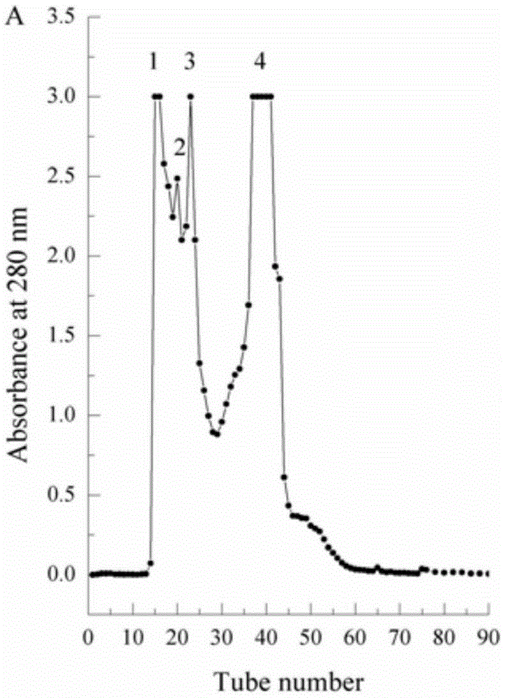 A method for isolating prostate cancer PC-3 anticancer peptide and its anticancer peptide by using the heat reactant of crucian carp protein antibacterial peptide liquid