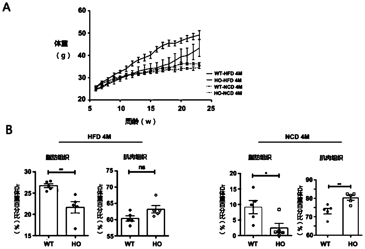 Application of ASB3 in preparation of drugs for treatment of non-alcoholic fatty liver disease