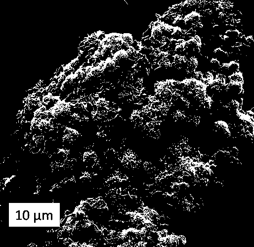 Quick-acting orally disintegrating tablet and powder based on novel porous lactose and microcrystalline mannitol auxiliary materials