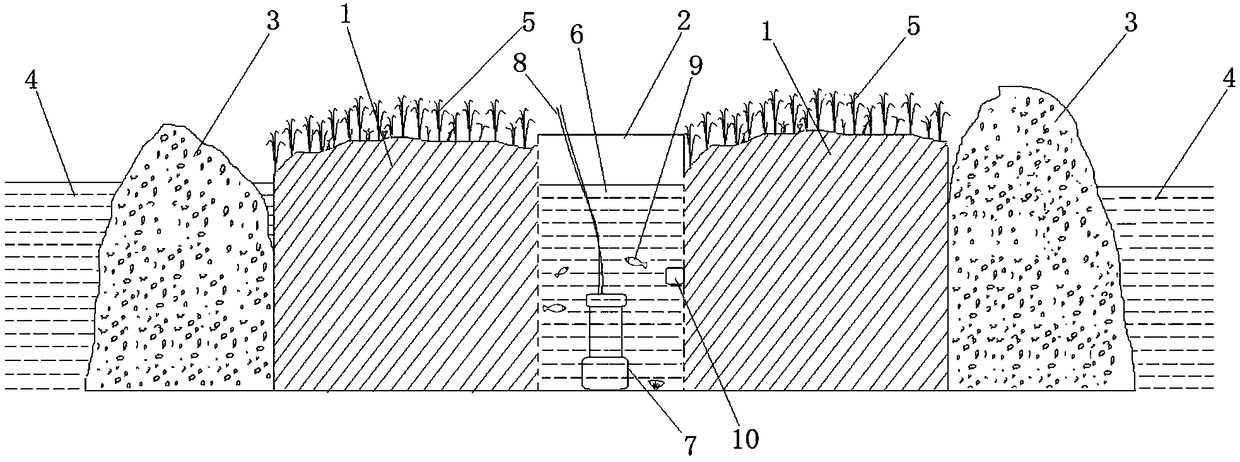 Ecological purification system of landscape water body