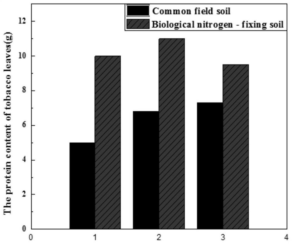 A kind of bio-organic soil for obtaining high-quality tobacco and its preparation method