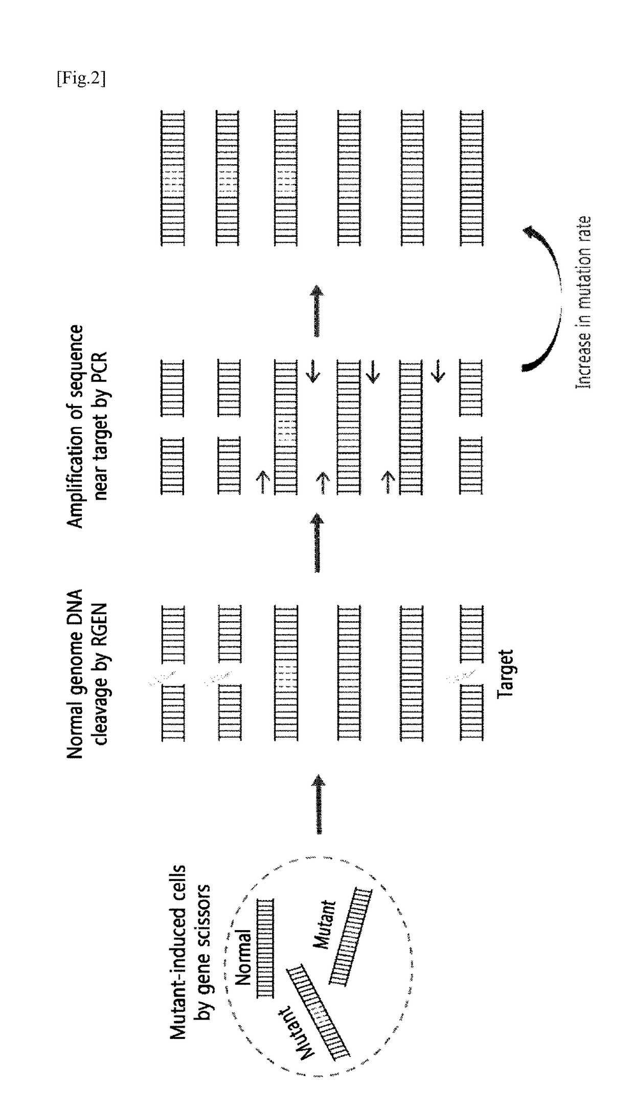 Method for Sensitive Detection of Target DNA Using Target-Specific Nuclease
