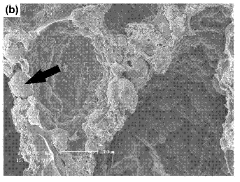 Inorganic foam heat insulating material with second-grade closed-pore structure and preparation method thereof