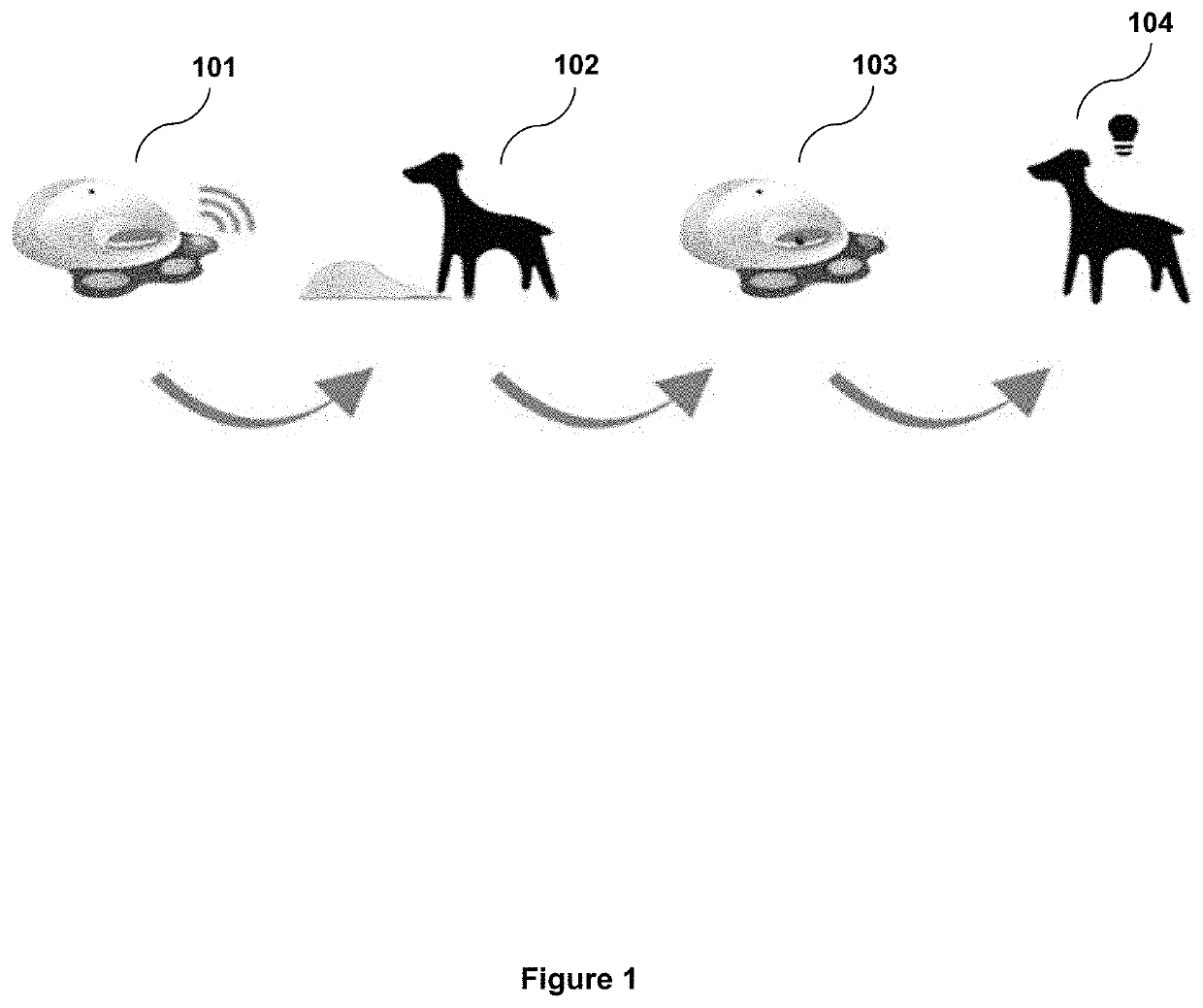 Animal interaction devices, systems and methods