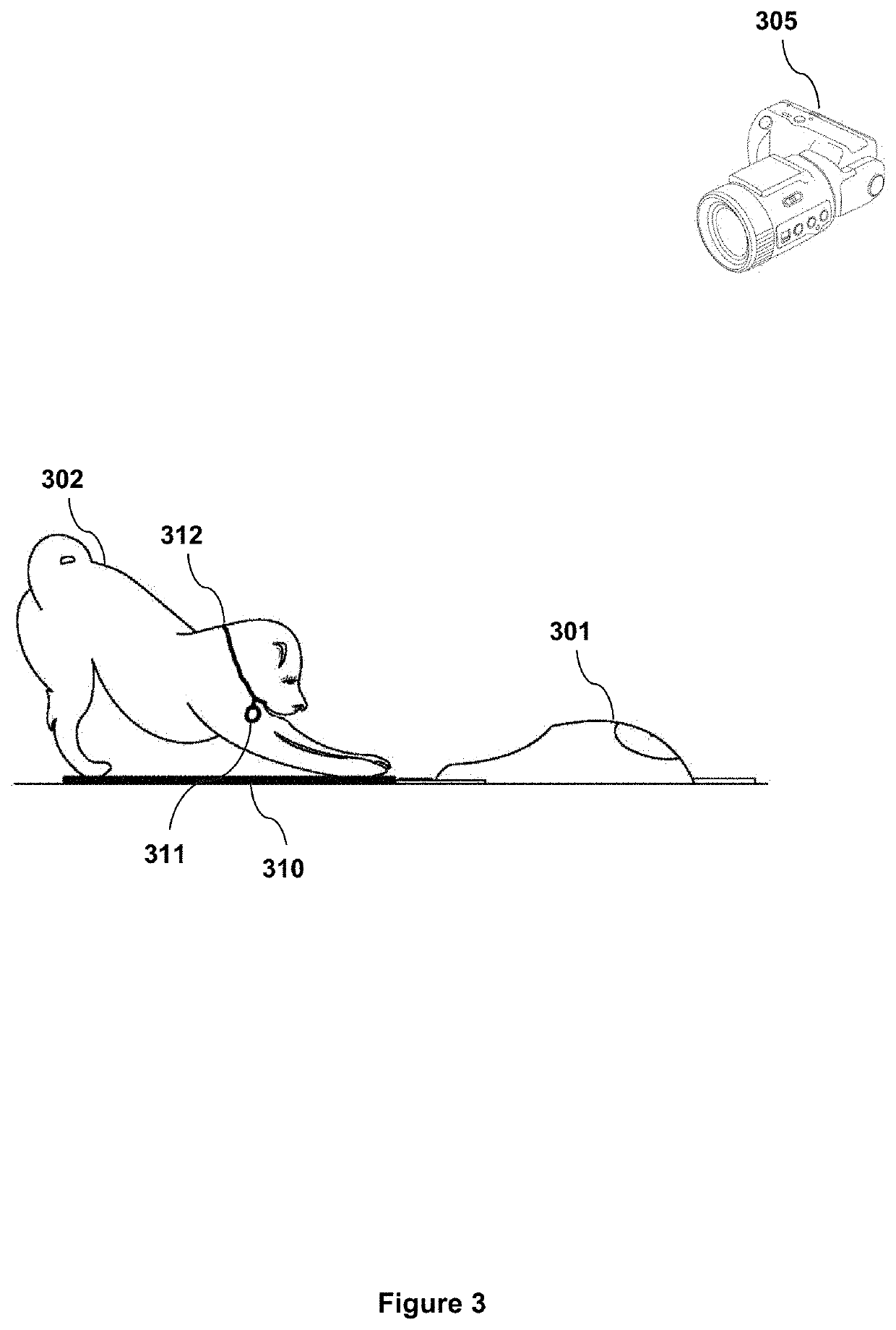 Animal interaction devices, systems and methods