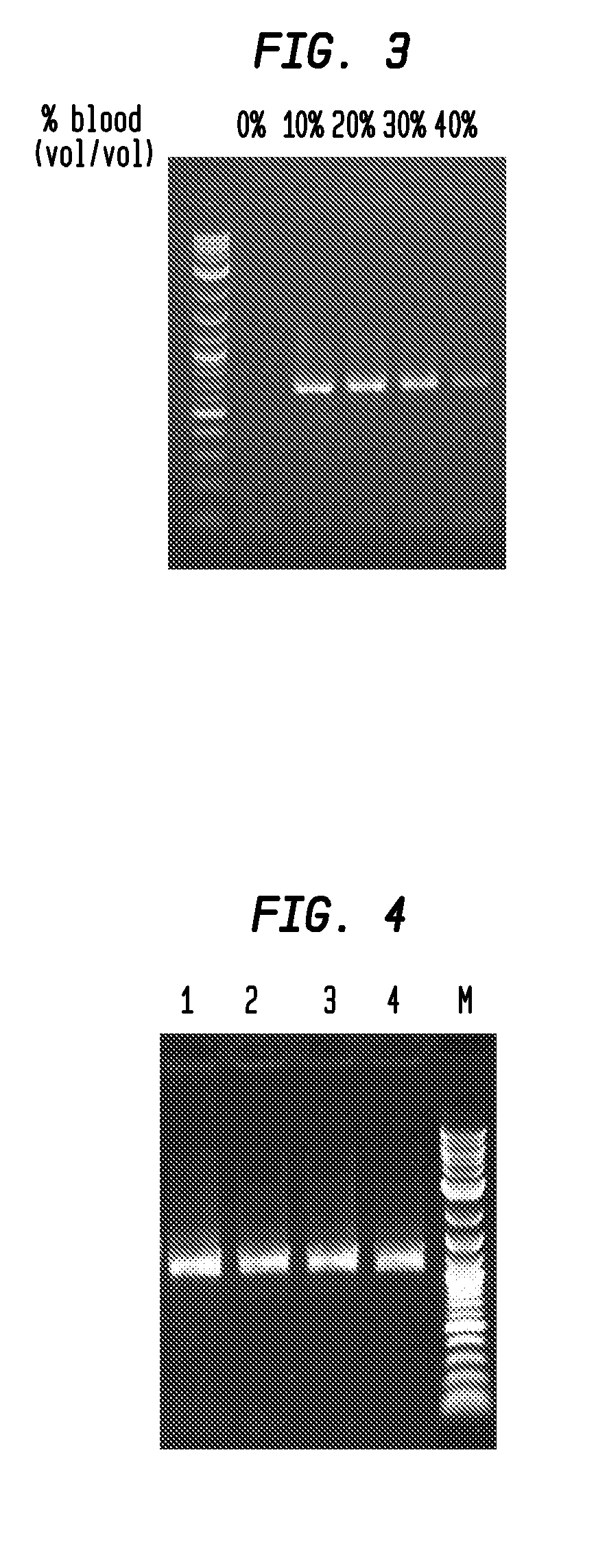 Enzyme Reagents for Amplification of Polynucleotides in the Presence of Inhibitors