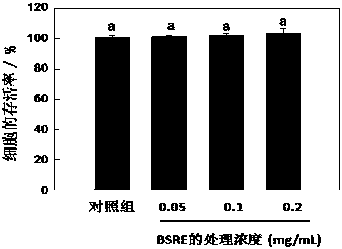 Extraction method of common bletilla tuber extract, whitening and beautifying porridge with common bletilla tuber extract, and preparation method thereof