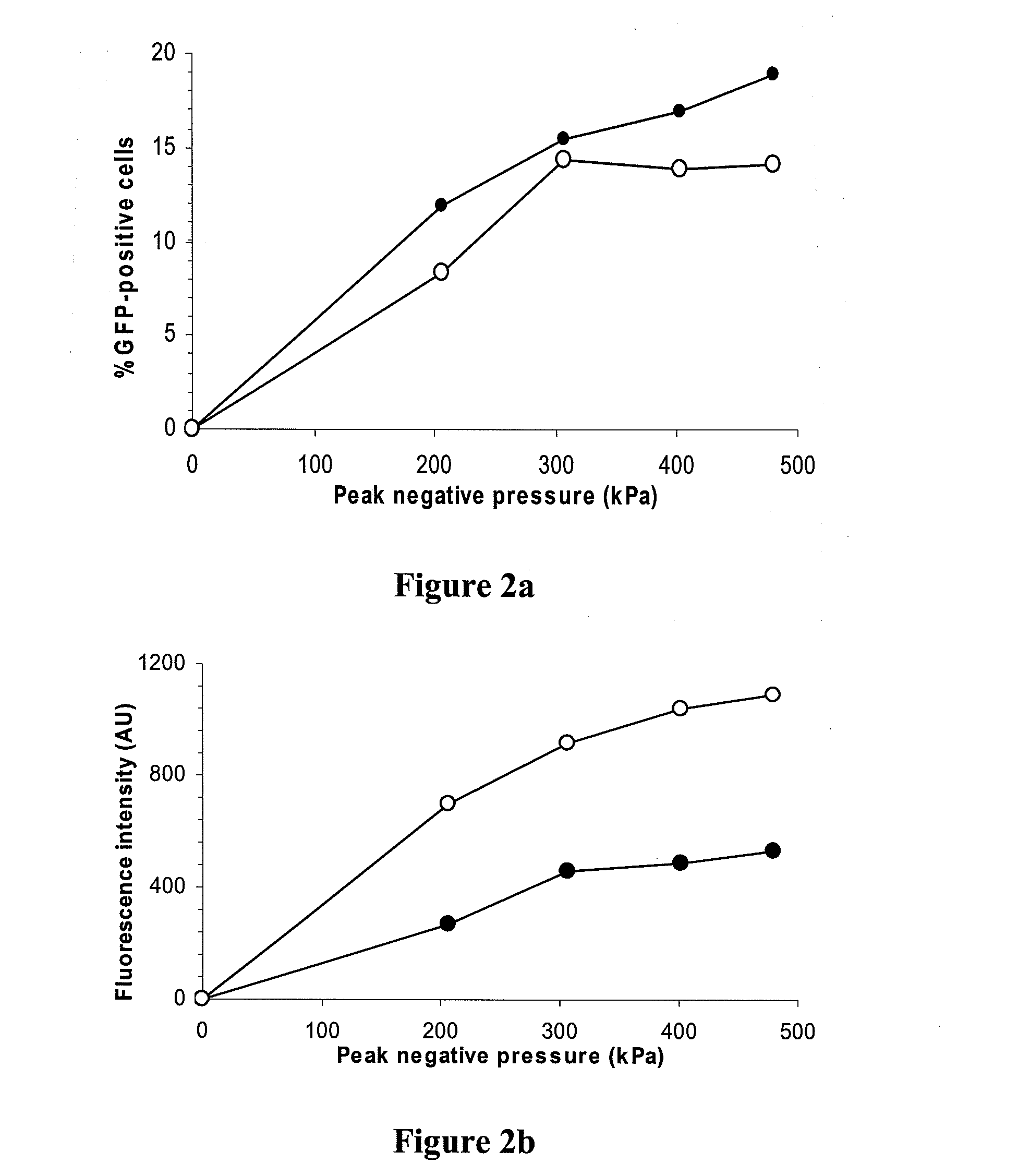 Composition comprising gas-filled microcapsules for ultrasound mediated delivery