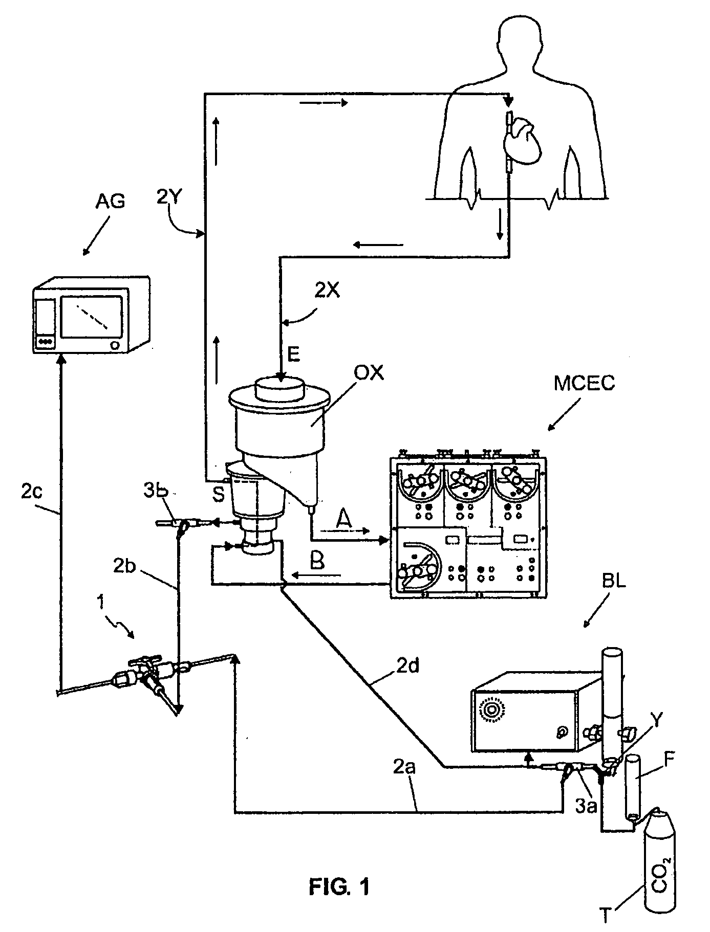 Oximetry and capnography system for use in connection with an extracorporeal circulation procedure