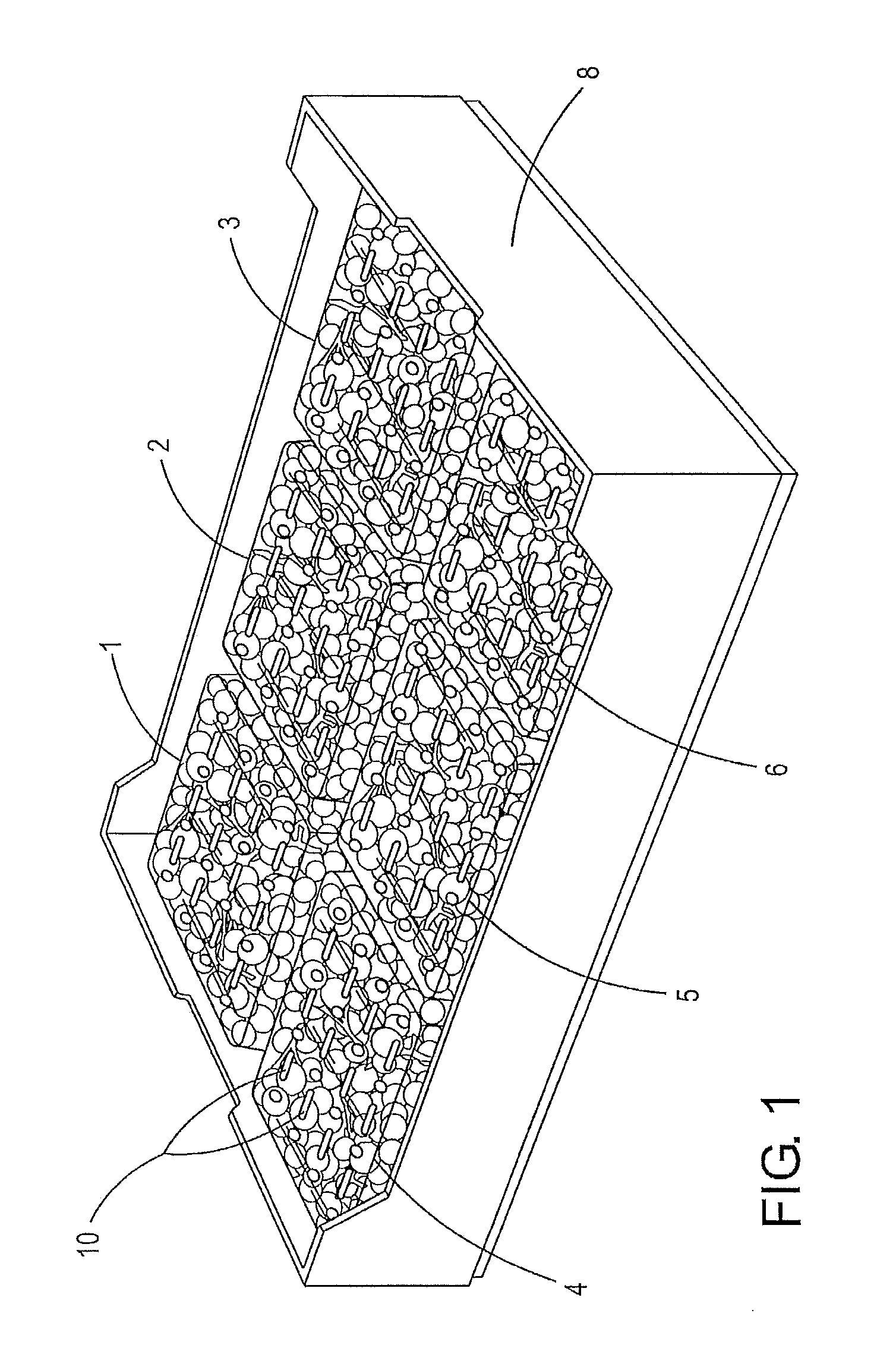 Process for the substantial prolongation of the storage life of grapes