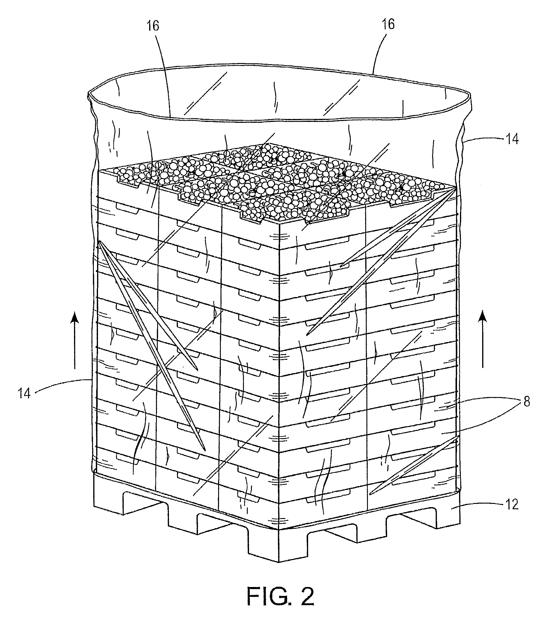 Process for the substantial prolongation of the storage life of grapes