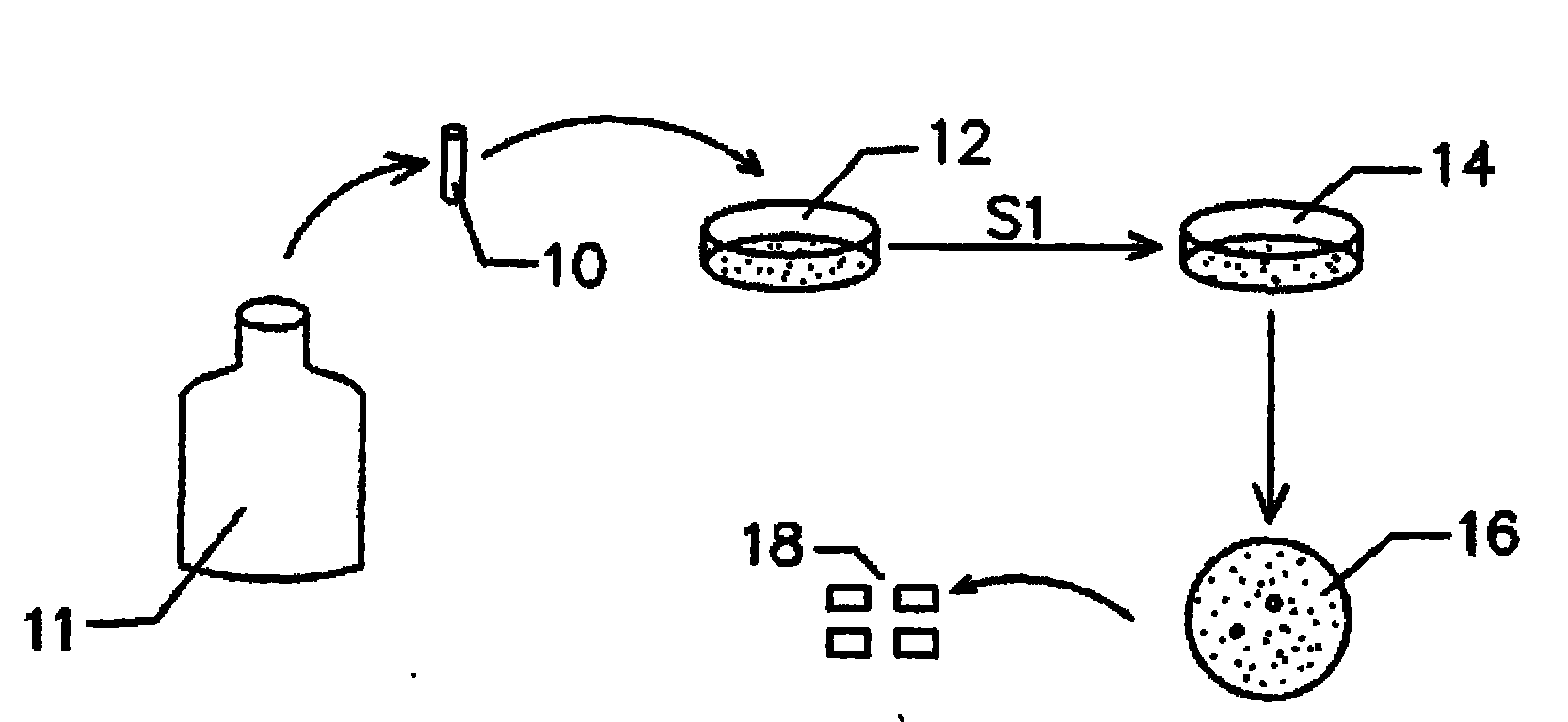 Preparation of side-pocket mushroom cultispecies by adopting plastic breather bags