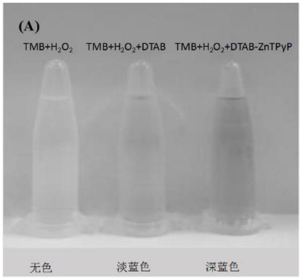 A kind of nanoporphyrin catalyst and the method utilizing its catalysis TMB color development