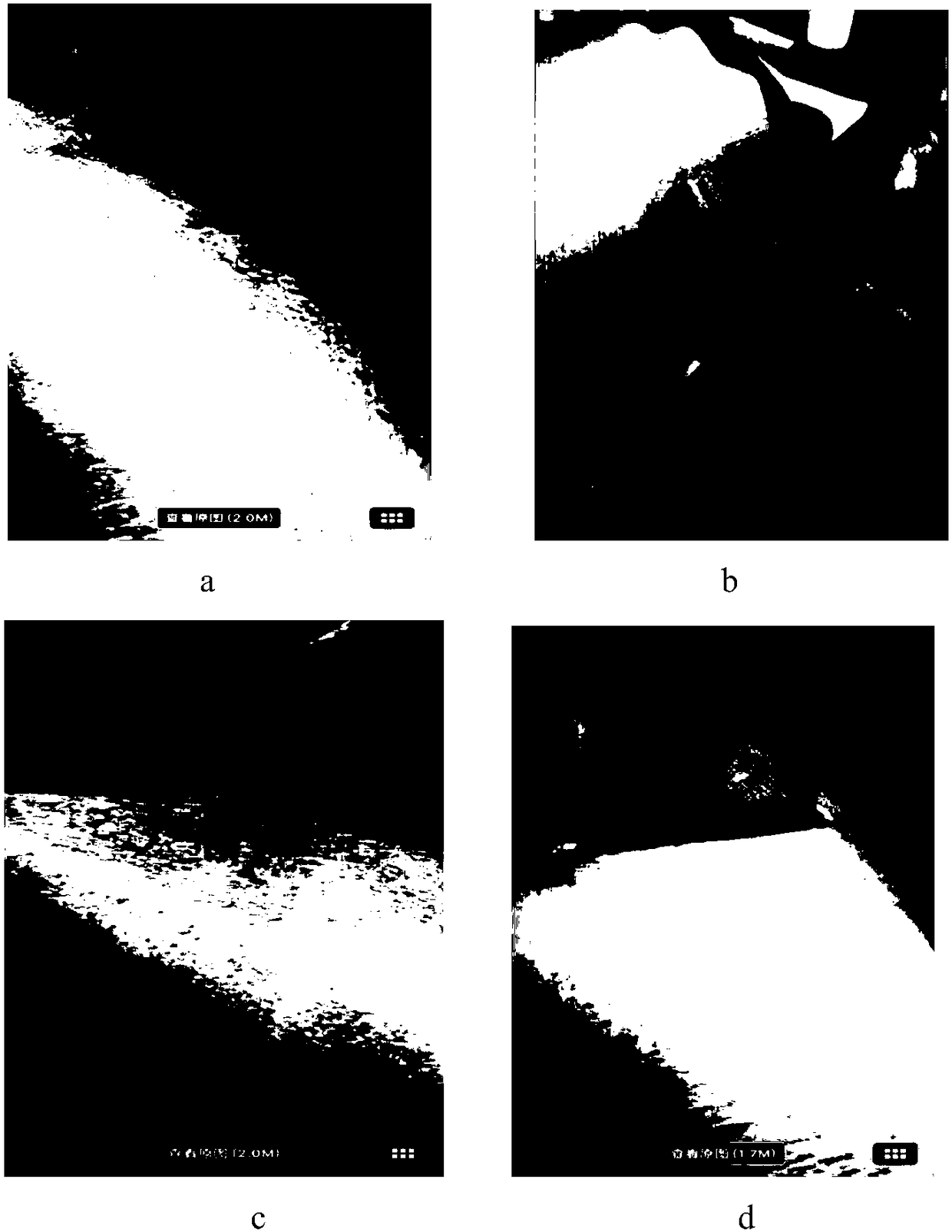 Flunixin meglumine film coating agent for heat-clearing and analgesic for animals and preparation method thereof