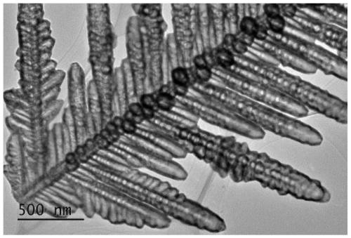 A kind of nickel phosphorus copper electrocatalyst and preparation method thereof