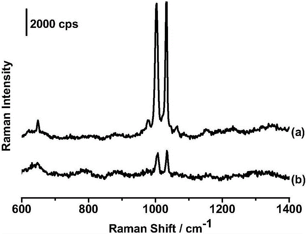 A method for filling pinholes of silica gold-coated nanoparticles